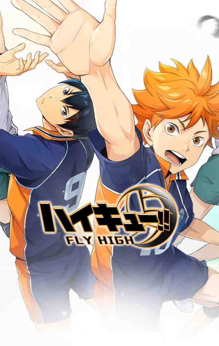 Haikyu Fly High